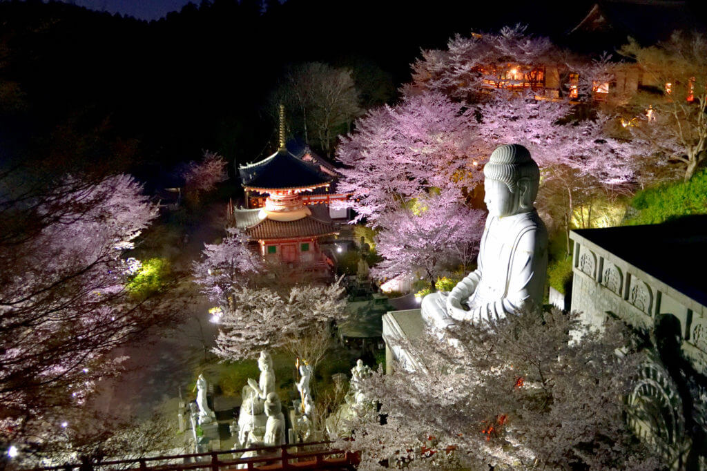 桜大仏(壷阪寺)のライトアップ